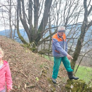 Tam je lisičja luknja